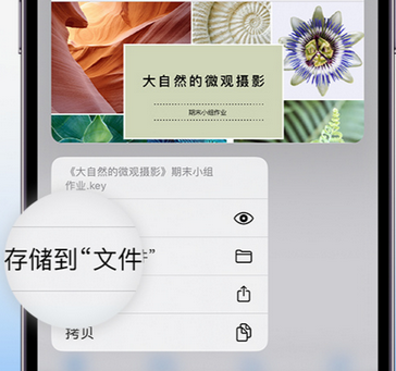 芙蓉apple维修中心分享iPhone文件应用中存储和找到下载文件