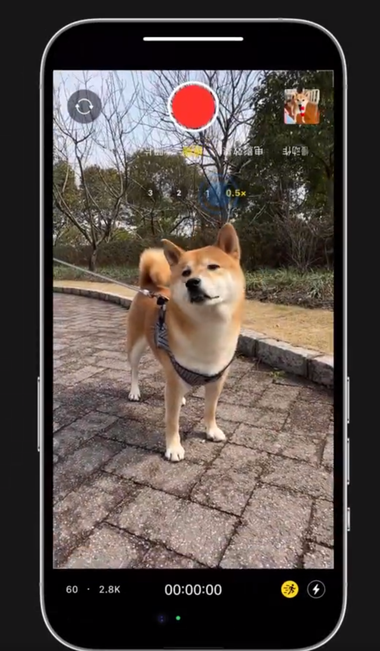 芙蓉苹果14服务网点分享iPhone14上手持拍摄也能保持画面稳定 