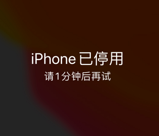 芙蓉苹果手机维修分享:iPhone 显示“不可用”或“已停用”怎么办？还能保留数据吗？ 