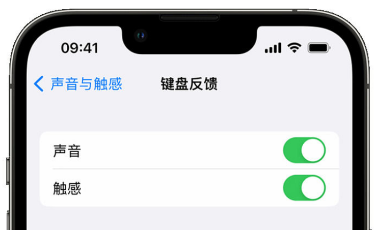 芙蓉苹果手机维修分享iPhone 14触感键盘使用方法 