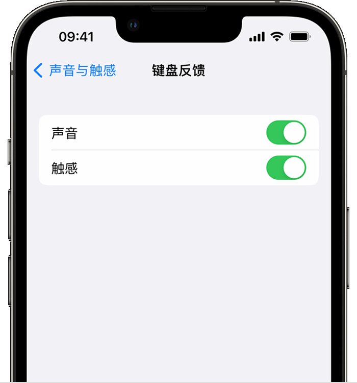 芙蓉苹果14维修店分享如何在 iPhone 14 机型中使用触感键盘 