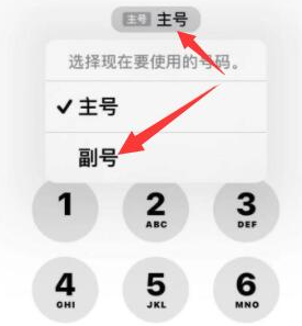 芙蓉苹果14维修店分享iPhone 14 Pro Max使用副卡打电话的方法 