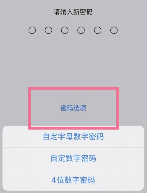 芙蓉苹果14维修分享iPhone 14plus设置密码的方法 