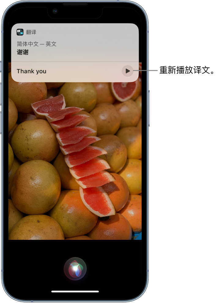 芙蓉苹果14维修分享 iPhone 14 机型中使用 Siri：了解 Siri 能帮你做什么 